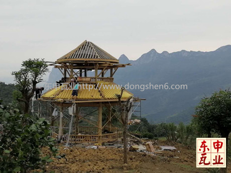 �X������