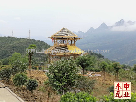 �Ž��X�߹�ͤ