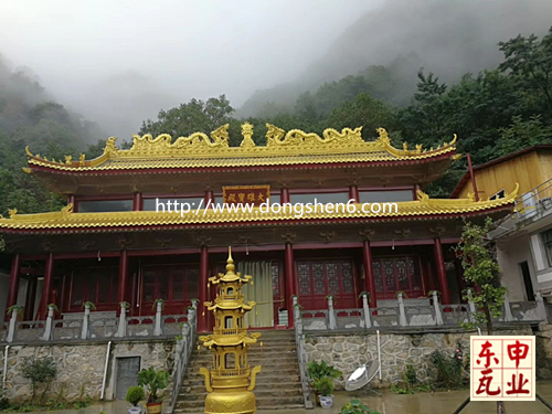 ������Ժ�¹���